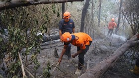 Karhutla Bromo Akibat Flare Prewedding Padam, 500 Hektare Terdampak