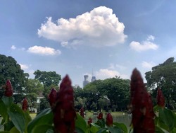 Prakiraan Cuaca Jember 16 November 2023, Siang hingga Malam Berawan