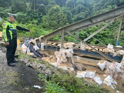 Truk Pakan Ayam Masuk Jurang karena Rem Blong di Sumbar, 2 Orang Luka Serius
