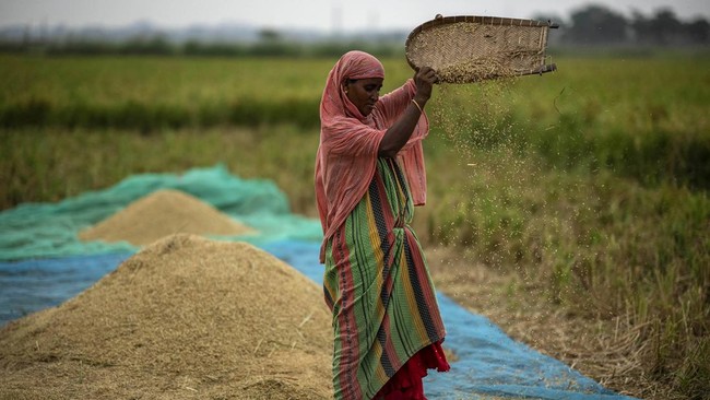 India merupakan salah satu eksportir beras dunia. Dengan penduduk mencapai 1,4 miliar jiwa, India mampu mencatat surplus beras sekitar 7 juta ton per tahun.