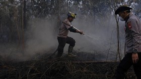 FOTO: Upaya Pemadaman Karhutla di Kalimantan Barat
