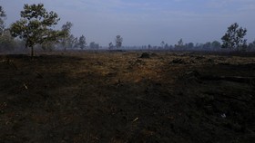 199 Titik Panas Terdeteksi di Kaltim, Warga Diimbau Waspada