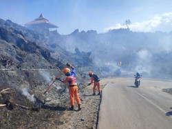 Petugas Taman Wisata dan Cagar Alam Siaga usai 20 Hektare Lereng Ijen Terbakar