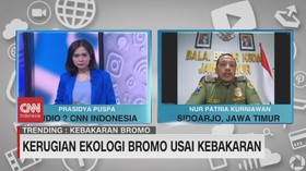 VIDEO: Kerugian Ekologi Bromo Usai Kebakaran