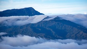 Hutan Hujan Tropis Sumatera 12 Tahun dalam Bahaya, KLHK Buka Suara