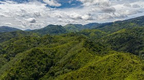 7 Ancaman Bikin Warisan Dunia Hutan Hujan Tropis Sumatera dalam Bahaya