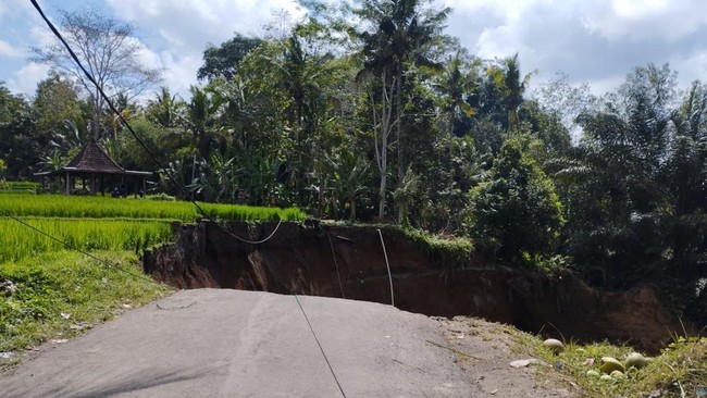 Terjadi fenomena jalan berlubang (sinkhole) dengan dalam 50 meter dan lebar 30 meter di jalur akses wisata Kecamatan Tegallalang -Tampaksiring, Bali.