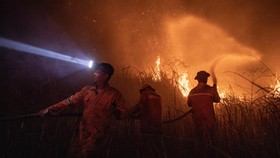 FOTO: Penampakan Karhutla Membara di Ogan Ilir Sumsel