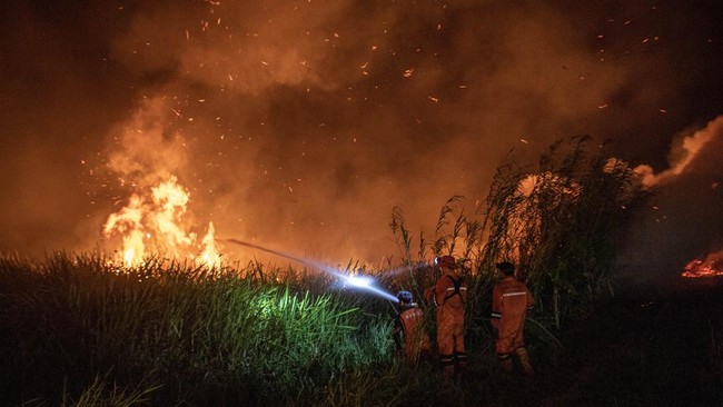 Kepolisian Daerah (Polda) Jambi menetapkan sebanyak 12 orang sebagai tersangka pembakar hutan dan lahan. Terbanyak di Batanghari.
