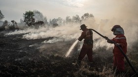 Karhutla TN Baluran Situbondo Meluas, 160 Hektare Hangus