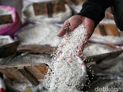 Kemendagri Soroti Harga Beras Masih Mahal, Padahal Gabah Murah