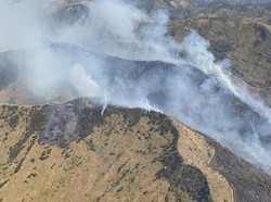 Terdakwa Kebakaran Savana Bromo Dituntut 3 Tahun Penjara