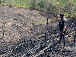 Pembakar 2 Hektare Lahan di Sarolangun Ditangkap Polisi