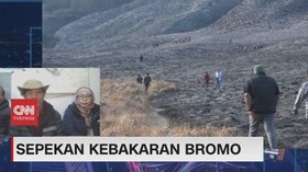VIDEO: Kepala TNBTS: Titik Api di Jurang Jadi Kendala