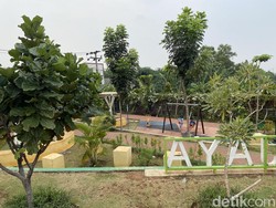 Satpol PP Depok Cek Viral Tisu Magic Bertebaran di Taman Cipayung