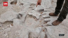 VIDEO: Ilmuan AS Temukan Puluhan Jejak Dinosaurus