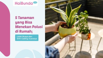 Detik Network
