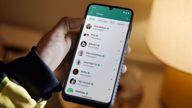 Begini Cara Kirim Pesan WhatsApp ke Nomor yang Memblokir Kita
