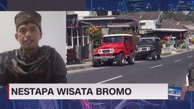 VIDEO: Jeritan Hati Pelaku Usaha Wisata Bromo