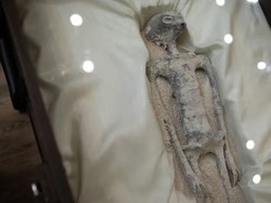 Kehebohan Jasad Alien di Meksiko Tuai Kecaman