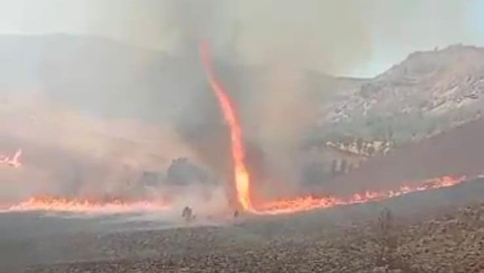 Kebakaran Hutan di Bromo/Foto: Detikcom