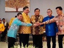 Teka-teki Airlangga soal 1 Partai Bakal Gabung: Warnanya Ada di Koalisi