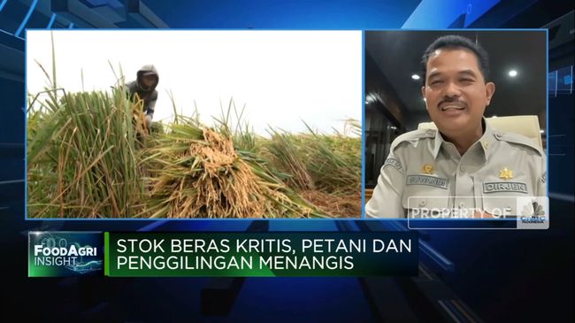 Kementan Soal Anjloknya Pasokan Gabah ke Penggilingan Beras