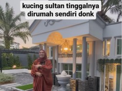 Viral Rumah Kucing yang Lebih Mewah Dari Rumah Netizen, Ada AC dan Bertingkat