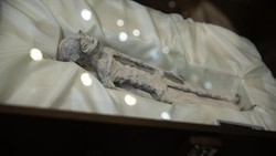 Heboh Ditemukan Jasad Alien di Meksiko, Ini Faktanya