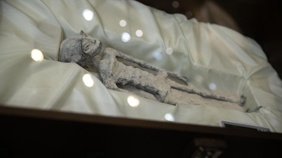 1663864965 MEXICO CITY, MEXICO - SEPTEMBER 13: Two 'non-human' beings displayed to the media during a press conference of Mexican journalist and UFO expert, Jaime Maussan, at the Camino Real hotel, in Mexico City, Mexico on September 13, 2023. The press conference was holding the day after the country's first public congressional hearing on the topic with UFO experts. The bodies displayed in cases, have three fingers on each hand they were recovered in Peru in 2017, they have no relation to human beings, experts said. (Photo by Daniel Cardenas/Anadolu Agency via Getty Images)