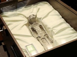 4 Hal Diketahui soal Penemuan Diduga Jasad Alien di Meksiko