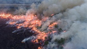 FOTO: Penampakan Karhutla di Ogan Ilir, Api Kepung Jalan Tol