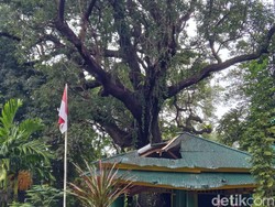 Pendopo Makam Sultan di Ternate Rusak Tertimpa Pohon Dikeramatkan
