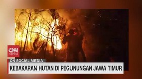 VIDEO: Kebakaran Hutan di Pegunungan Jawa Timur