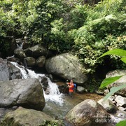 3 Tempat Wisata di Bogor yang Cocok untuk Rayakan Liburan Tahun Baru, Pesonanya Manjakan Mata!
