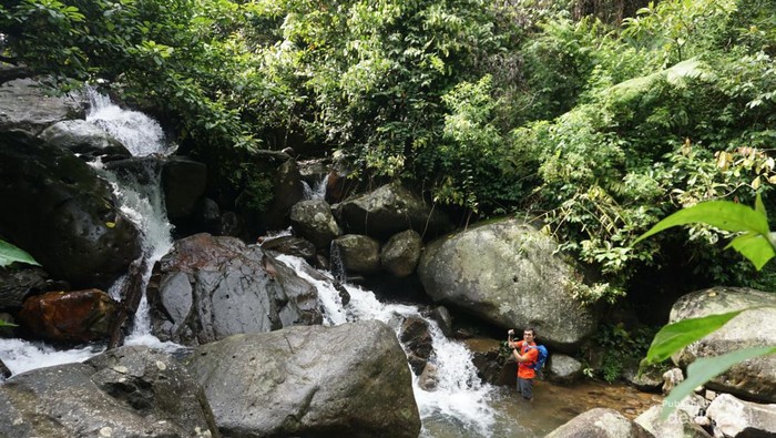 3 Tempat Wisata di Bogor yang Cocok untuk Rayakan Liburan Tahun Baru, Pesonanya Manjakan Mata!