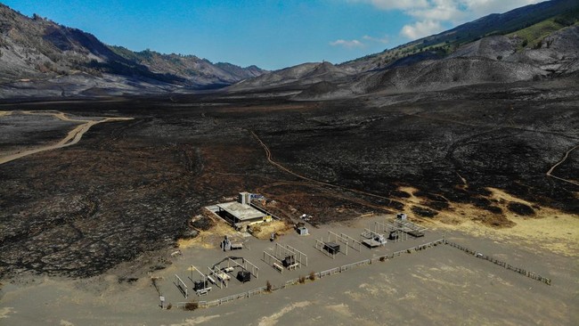 Polda Jawa Timur mengambil alih kasus kebakaran di savana Gunung Bromo dari Polres Probolinggo karena kerugian yang besar. Saat ini sudah masuk penyidikan.