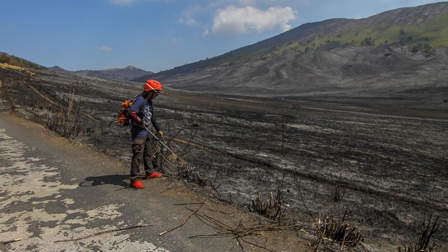 Estimasi nilai kerugian akibat kebakaran hutan Bromo akibat flare prewedding sekitar Rp8.344.741.000.