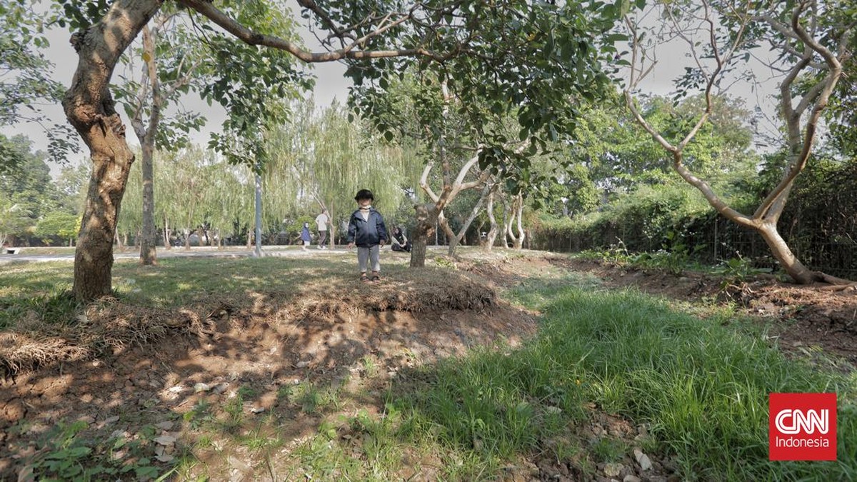 FOTO: Wajah Taman Jakarta Kering Kerontang Imbas Kemarau
