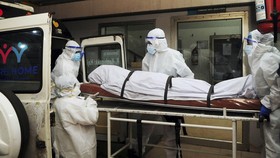 FOTO: Geger Virus Nipah di India, Tingkat Kematian 75 Persen