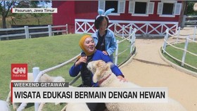 VIDEO: Wisata Edukasi Bermain Dengan Hewan