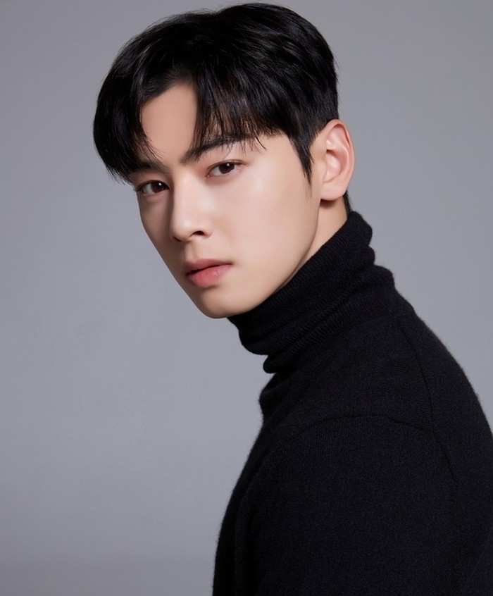 Cha Eun Woo adalah selebriti asal Korea Selatan yang debut sebagai idol dan kini juga aktif sebagai aktor/Foto:asianwiki.com