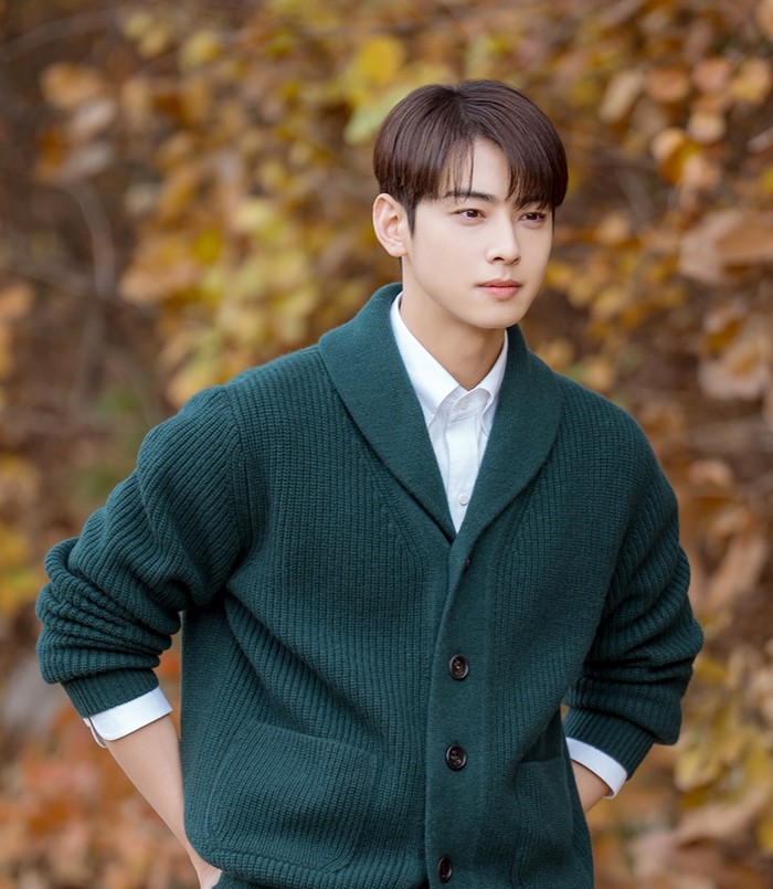 Drama itu diadaptasi dari webtoon dengan judul yang sama, karya Lee Hye dan terbit sejak 2017-2019. Ayo, Beauties, apa kamu juga menantikan pesona baru Cha Eun Woo dalam drama adaptasi webtoon satu ini?/Foto: soompi.com