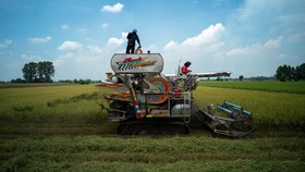 FOTO: Jeritan Petani Thailand Terhimpit Utang, Lahan dan Kekeringan