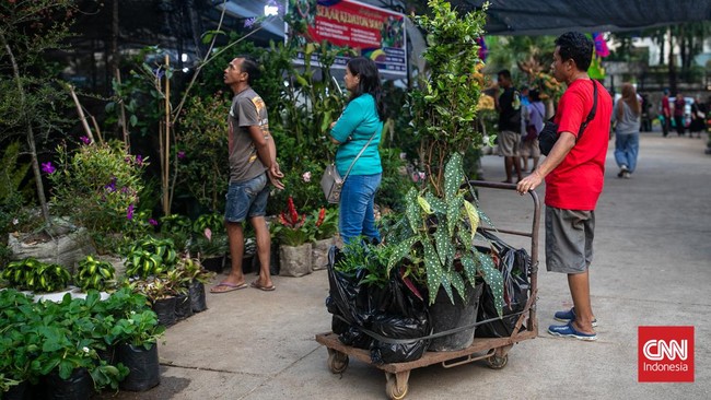 FOTO: Menengok Rupa-rupa Flora dan Fauna di Lapangan Banteng