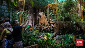 FOTO: Menengok Rupa-rupa Flora dan Fauna di Lapangan Banteng