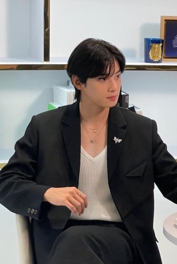 Selain memiliki suara merdu dan keterampilan menari, Cha Eun Woo juga dikenal sebagai idol dengan visual unreal/Foto: instagram.com/eunwoo.o_c