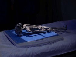 Geger Temuan Jasad Alien di Meksiko Diklaim Bukan Hasil Rekayasa Manusia