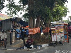 Pohon di Sukabumi Dipasang Kain Oranye, Satpol PP Tertibkan
