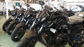 PPN 12 Persen Disebut 'Gak Ngaruh' Buat Moge, Tetap Ada Saja yang Beli
